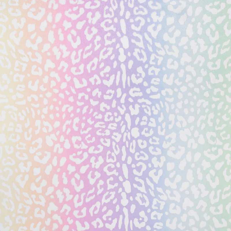 Cloud Cuddle® Print - Leo Rainbow Pastel Minky Yardage