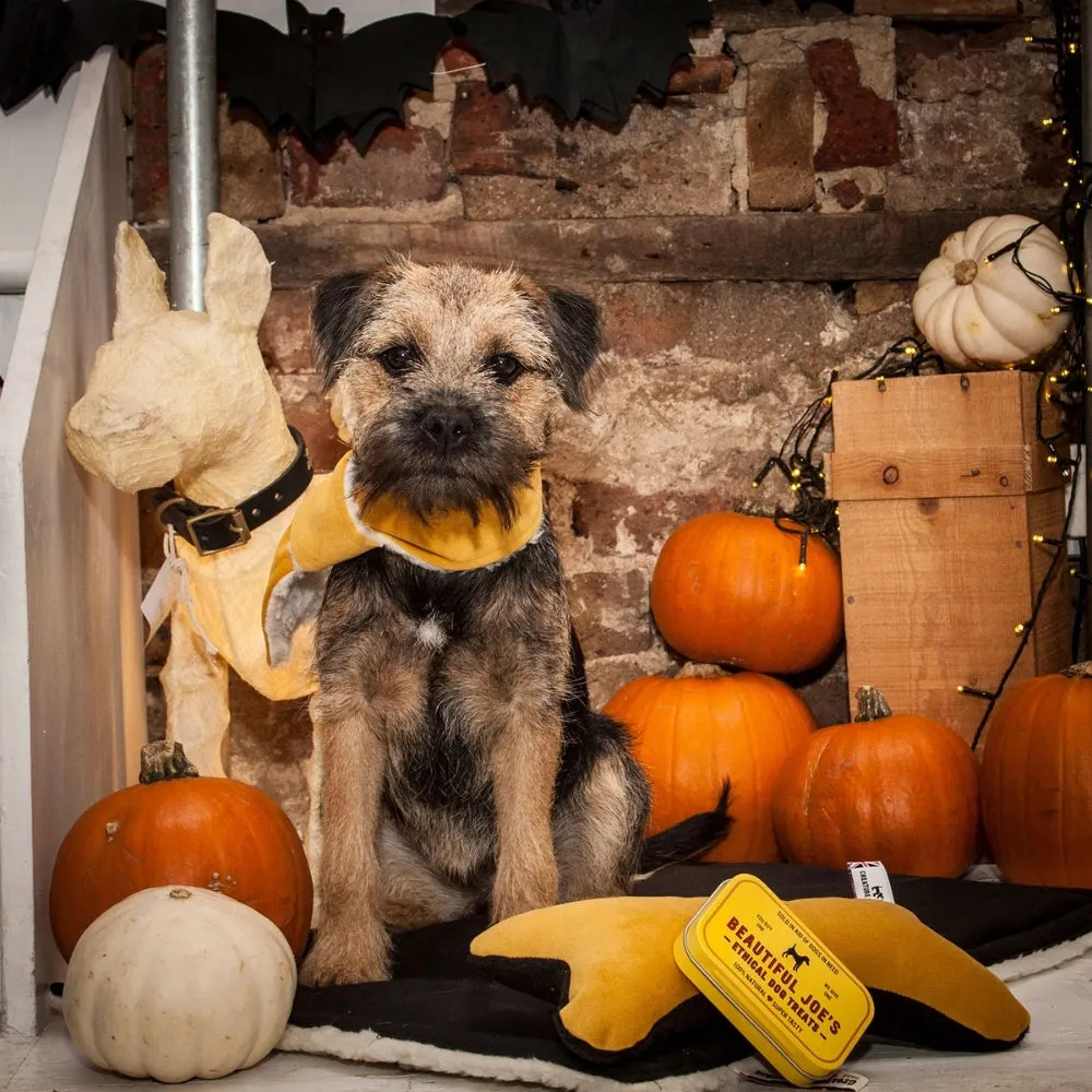 Doggy Scarf in Mustard Velvet and Sherpa