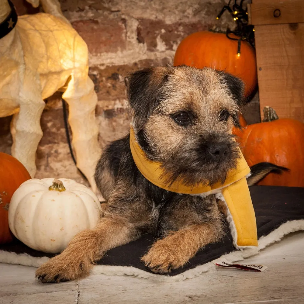 Doggy Scarf in Mustard Velvet and Sherpa